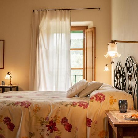Agriturismo Casa Montecucco Giuncarico Ngoại thất bức ảnh