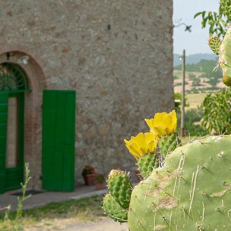 Agriturismo Casa Montecucco Giuncarico Ngoại thất bức ảnh