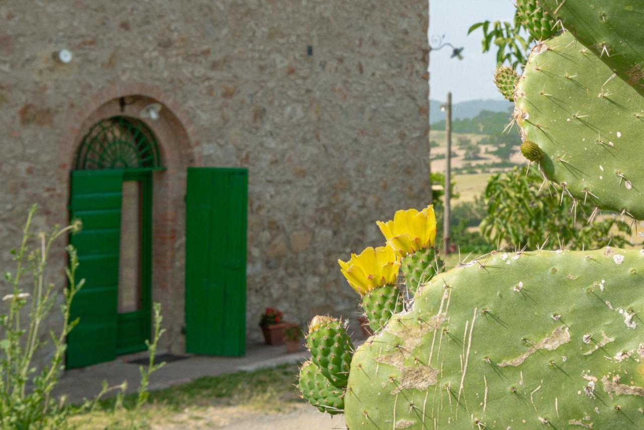 Agriturismo Casa Montecucco Giuncarico Ngoại thất bức ảnh